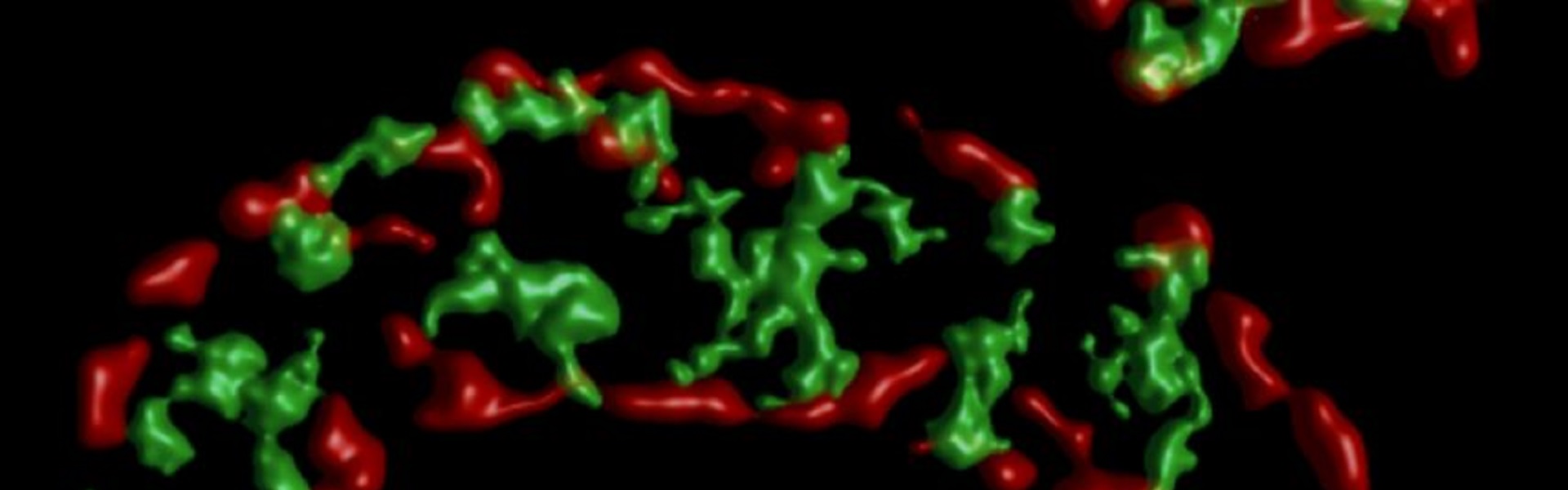 Magnified, false coloured image of mitochondria